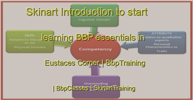 Skinart Introduction to start learning BBP essentials in Eustaces Corner | BbpTraining | BbpClasses | SkinartTraining-United States